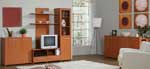 PASSAT - Wallunit